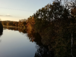 Boyle River (1)