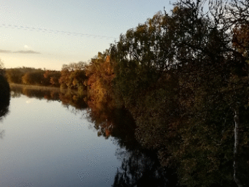 Boyle River (1)